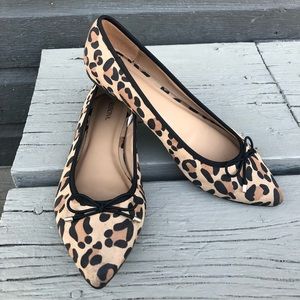 leopard pointed flats